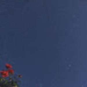 Meet your Posher, Joy